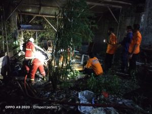IMG-20200729-WA0295