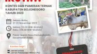 IMG-20231120-WA0039