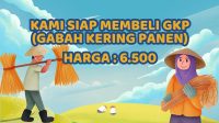 IMG-20250213-WA0015