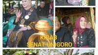 IMG-20261007-WA0012